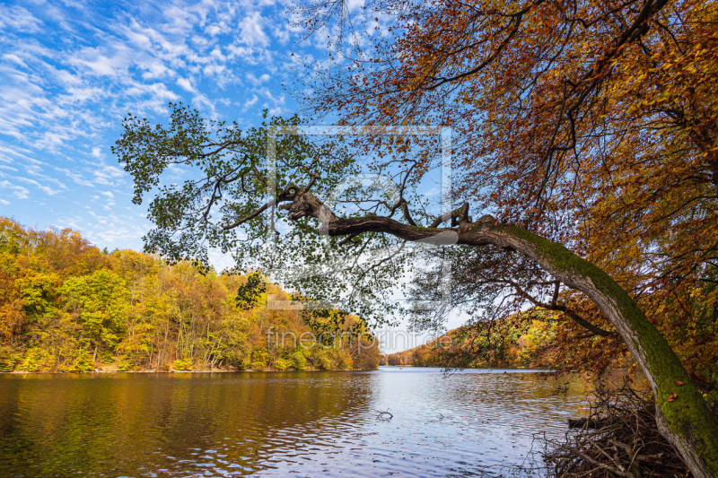 frei wählbarer Bildausschnitt für Ihr Bild auf Leinwand