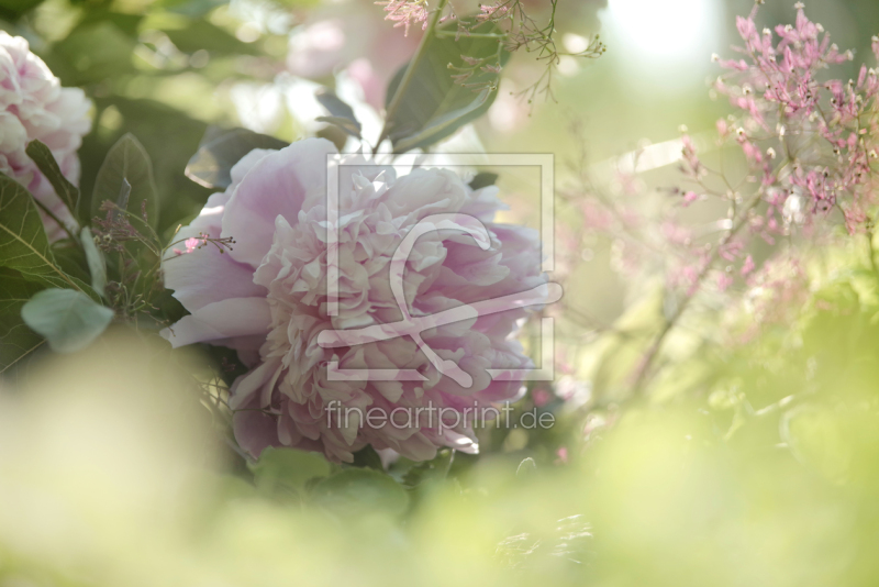 frei wählbarer Bildausschnitt für Ihr Bild auf Leinwand