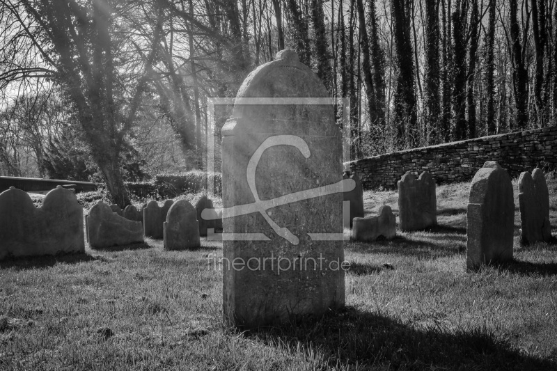 frei wählbarer Bildausschnitt für Ihr Bild auf Leinwand