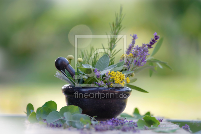 frei wählbarer Bildausschnitt für Ihr Bild auf Leinwand