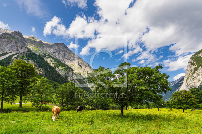 frei wählbarer Bildausschnitt für Ihr Bild auf Leinwand