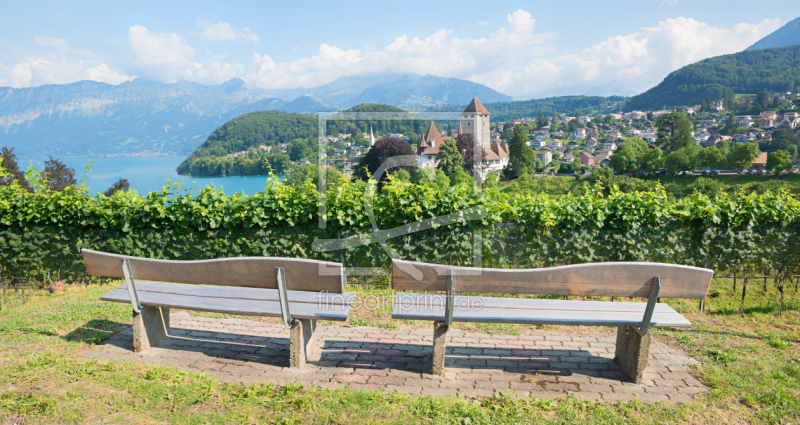 frei wählbarer Bildausschnitt für Ihr Bild auf Leinwand