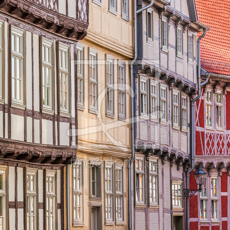 frei wählbarer Bildausschnitt für Ihr Bild auf Leinwand