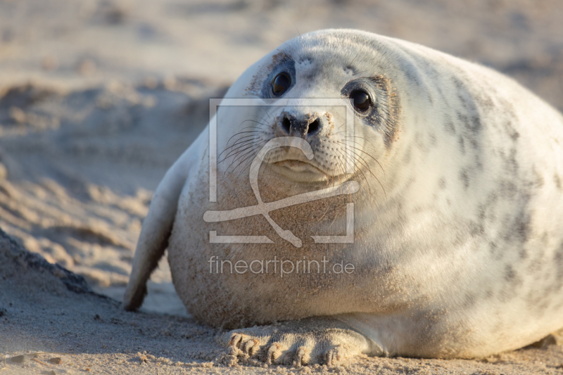 frei wählbarer Bildausschnitt für Ihr Bild auf Leinwand