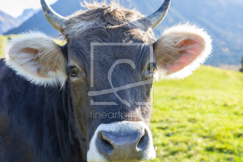 frei wählbarer Bildausschnitt für Ihr Bild auf Leinwand