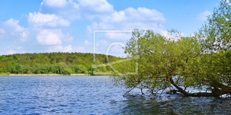 frei wählbarer Bildausschnitt für Ihr Bild auf Leinwand