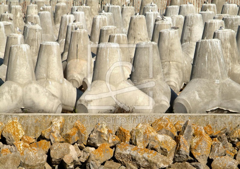 frei wählbarer Bildausschnitt für Ihr Bild auf Leinwand
