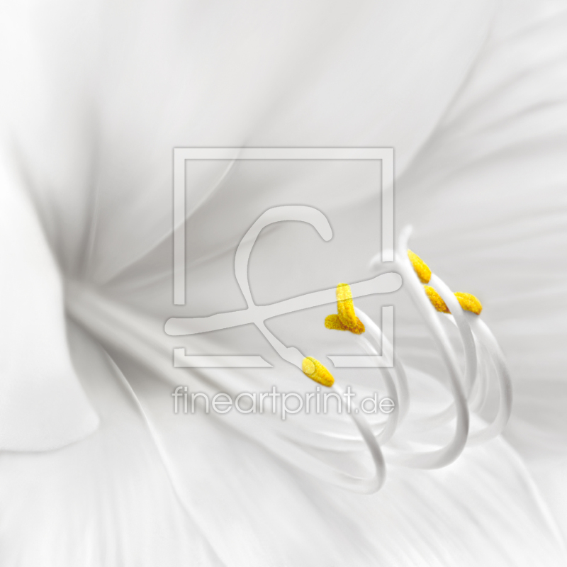 frei wählbarer Bildausschnitt für Ihr Bild auf Leinwand