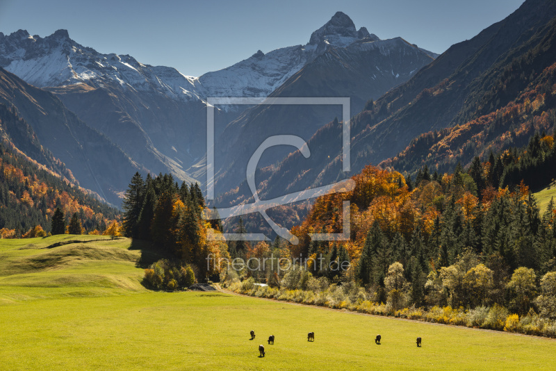 frei wählbarer Bildausschnitt für Ihr Bild auf Leinwand