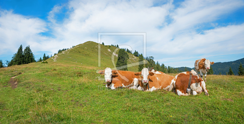 frei wählbarer Bildausschnitt für Ihr Bild auf Leinwand