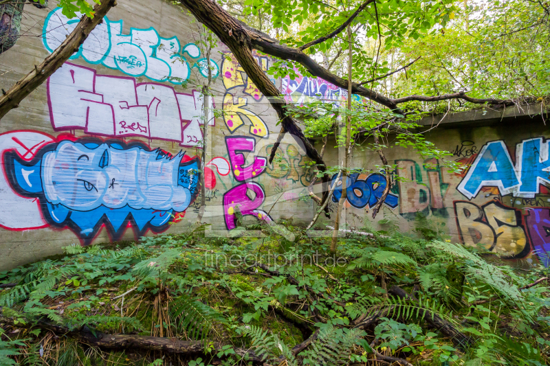 frei wählbarer Bildausschnitt für Ihr Bild auf Leinwand