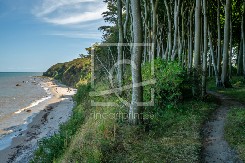 frei wählbarer Bildausschnitt für Ihr Bild auf Leinwand