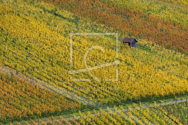 frei wählbarer Bildausschnitt für Ihr Bild auf Leinwand