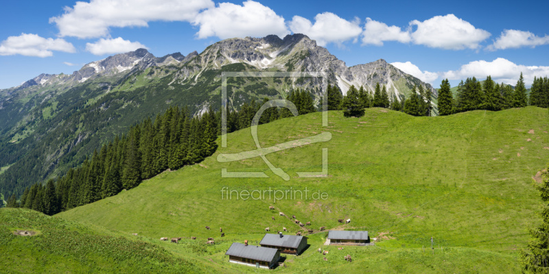 frei wählbarer Bildausschnitt für Ihr Bild auf Leinwand