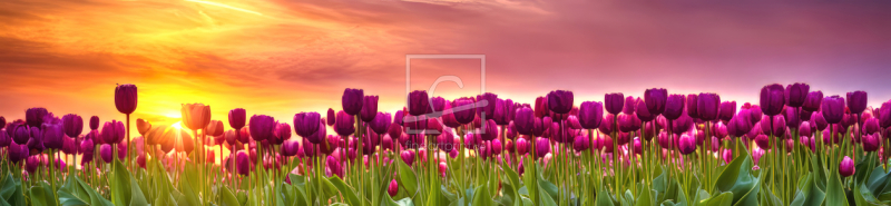 frei wählbarer Bildausschnitt für Ihr Bild auf Leinwand