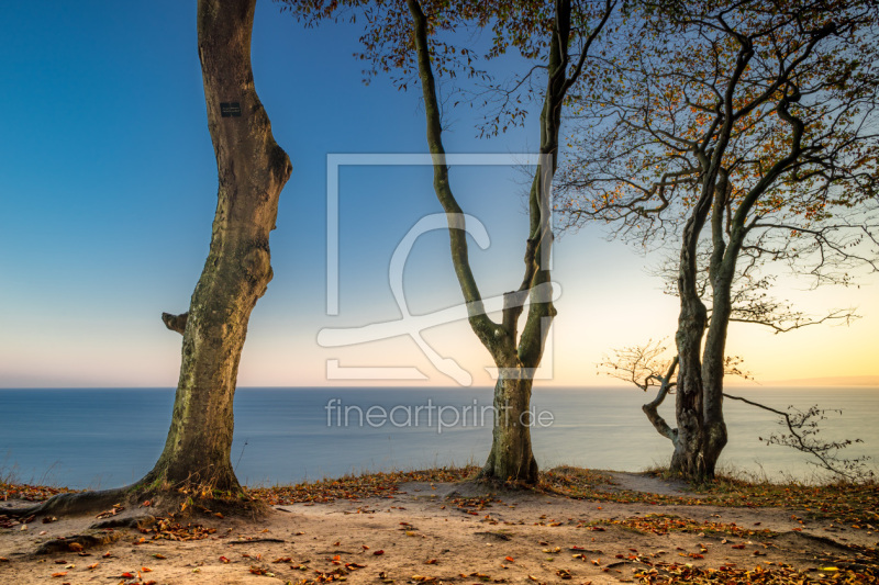 frei wählbarer Bildausschnitt für Ihr Bild auf Leinwand