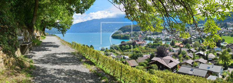 frei wählbarer Bildausschnitt für Ihr Bild auf Leinwand