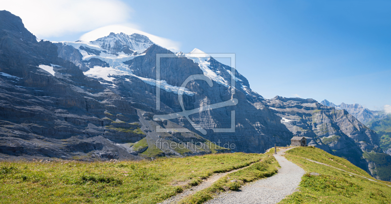 frei wählbarer Bildausschnitt für Ihr Bild auf Leinwand