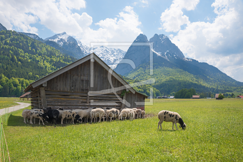 frei wählbarer Bildausschnitt für Ihr Bild auf Leinwand