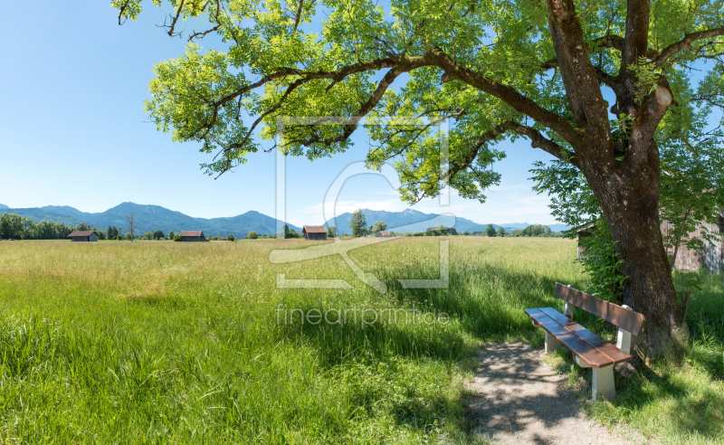 frei wählbarer Bildausschnitt für Ihr Bild auf Leinwand