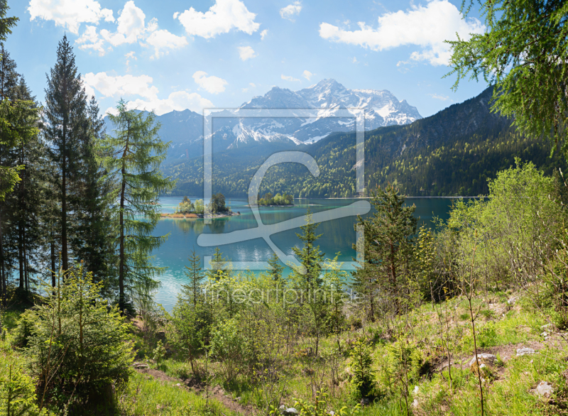 frei wählbarer Bildausschnitt für Ihr Bild auf Leinwand