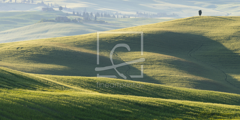 frei wählbarer Bildausschnitt für Ihr Bild auf Leinwand