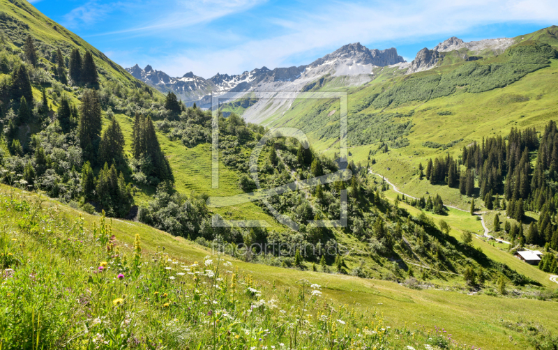 frei wählbarer Bildausschnitt für Ihr Bild auf Leinwand