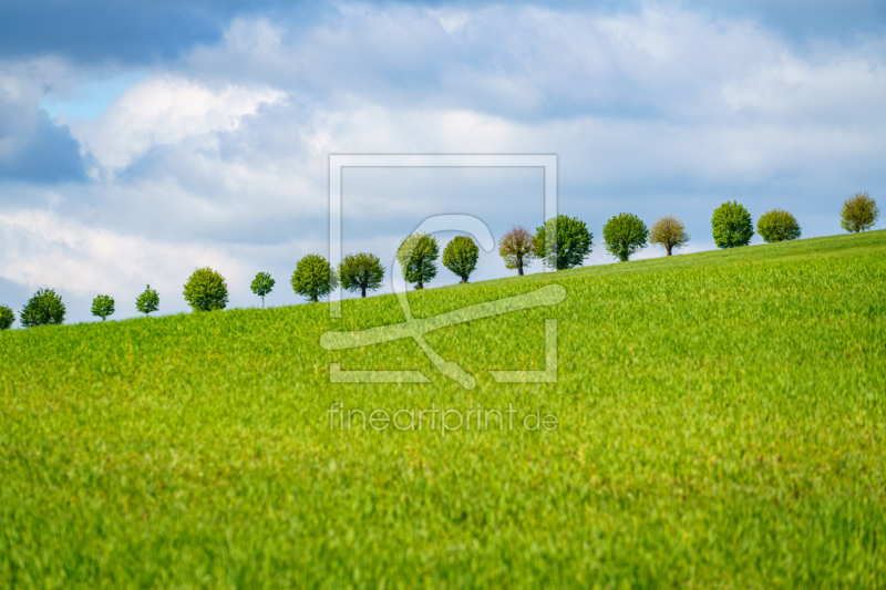 frei wählbarer Bildausschnitt für Ihr Bild auf Leinwand