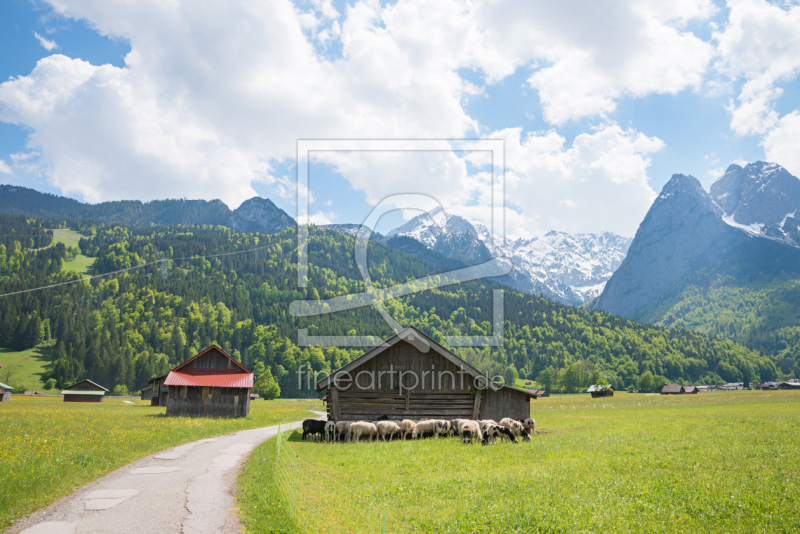 frei wählbarer Bildausschnitt für Ihr Bild auf Leinwand