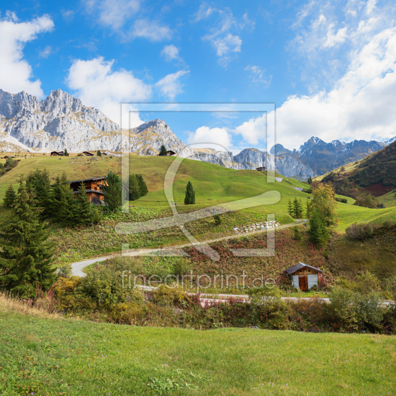 frei wählbarer Bildausschnitt für Ihr Bild auf Leinwand