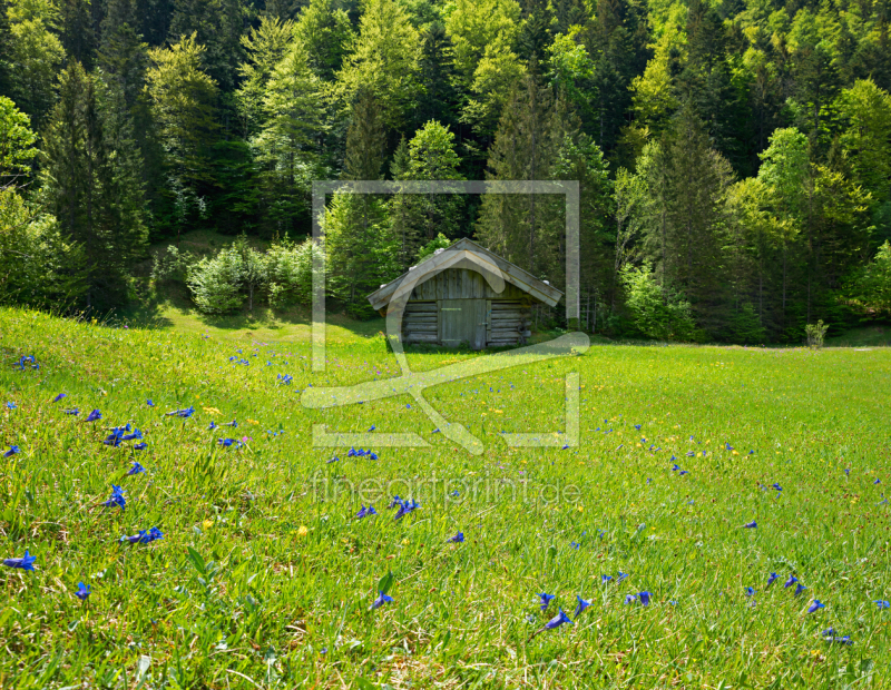 frei wählbarer Bildausschnitt für Ihr Bild auf Leinwand