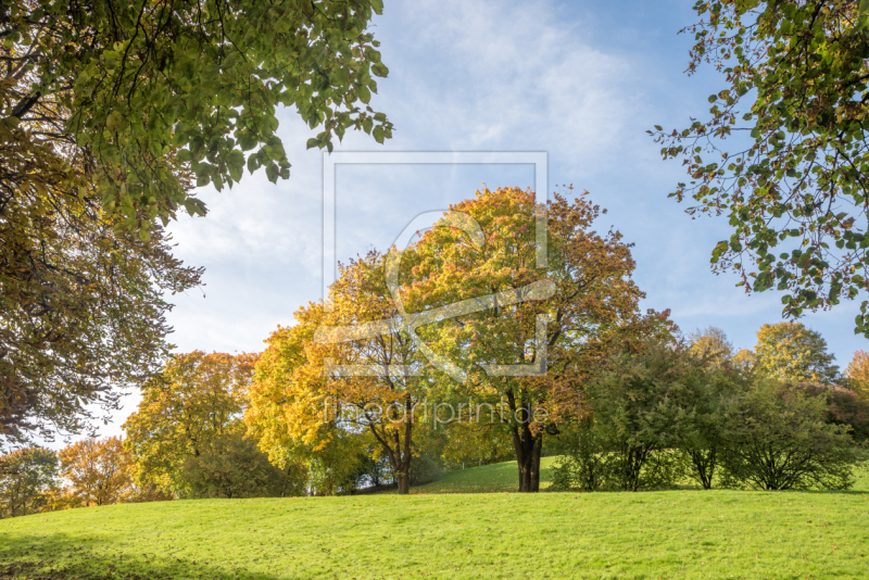 frei wählbarer Bildausschnitt für Ihr Bild auf Leinwand