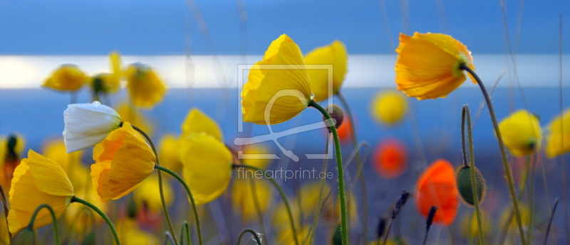 frei wählbarer Bildausschnitt für Ihr Bild auf Leinwand