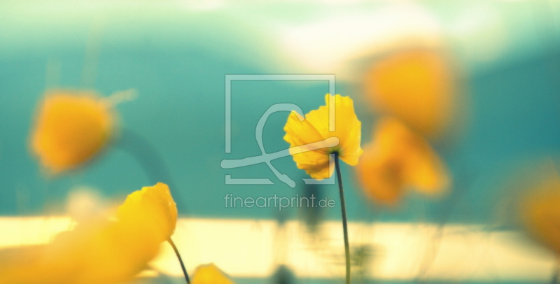 frei wählbarer Bildausschnitt für Ihr Bild auf Leinwand