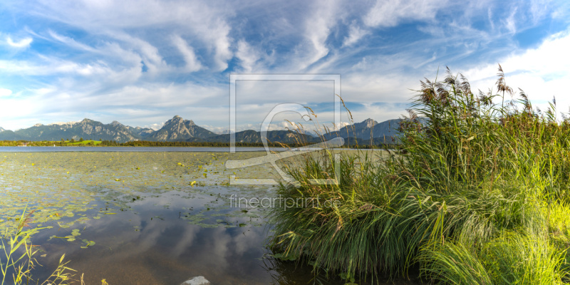 frei wählbarer Bildausschnitt für Ihr Bild auf Leinwand