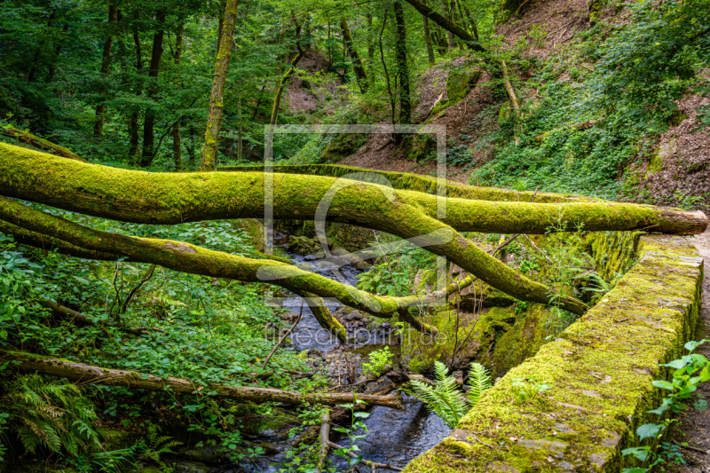 frei wählbarer Bildausschnitt für Ihr Bild auf Leinwand