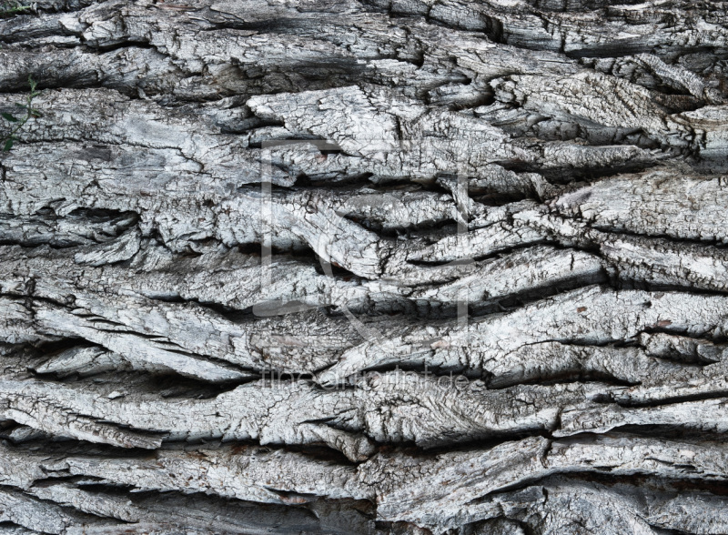 frei wählbarer Bildausschnitt für Ihr Bild auf Leinwand