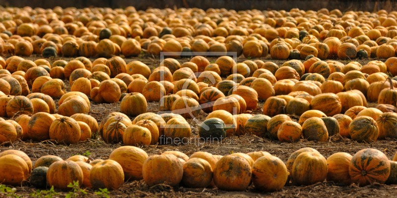frei wählbarer Bildausschnitt für Ihr Bild auf Leinwand