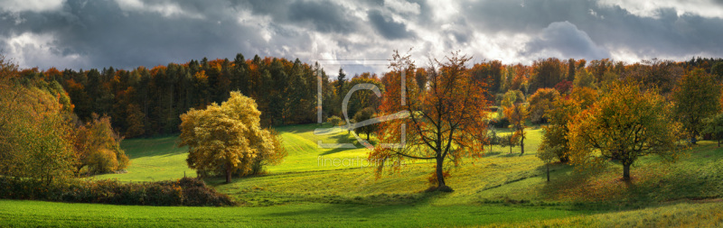 frei wählbarer Bildausschnitt für Ihr Bild auf Leinwand