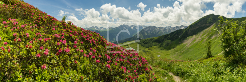 frei wählbarer Bildausschnitt für Ihr Bild auf Leinwand