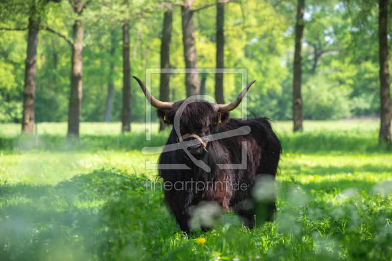 frei wählbarer Bildausschnitt für Ihr Bild auf Leinwand
