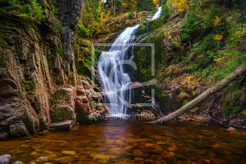 frei wählbarer Bildausschnitt für Ihr Bild auf Leinwand