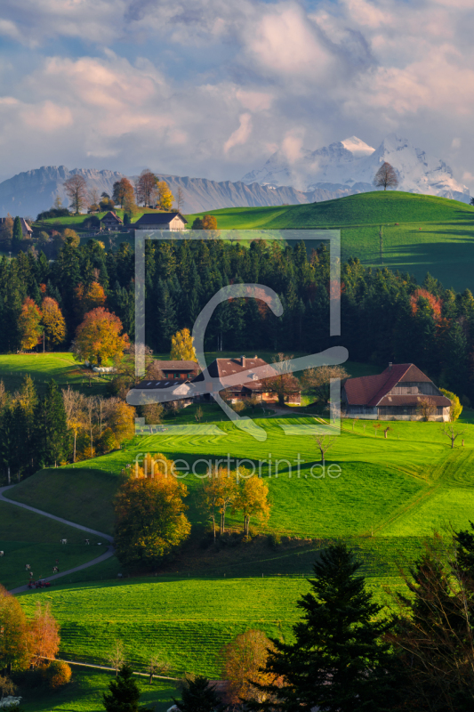 frei wählbarer Bildausschnitt für Ihr Bild auf Leinwand