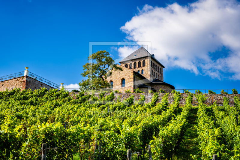 frei wählbarer Bildausschnitt für Ihr Bild auf Leinwand
