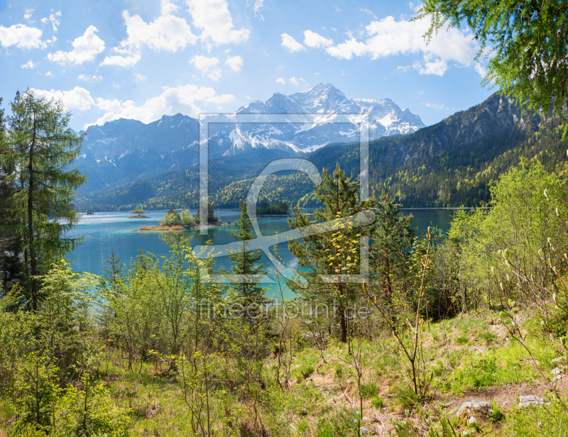 frei wählbarer Bildausschnitt für Ihr Bild auf Leinwand