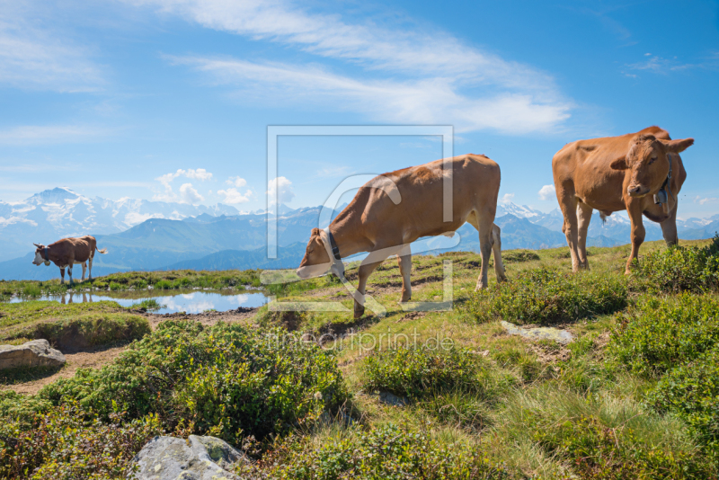 frei wählbarer Bildausschnitt für Ihr Bild auf Leinwand