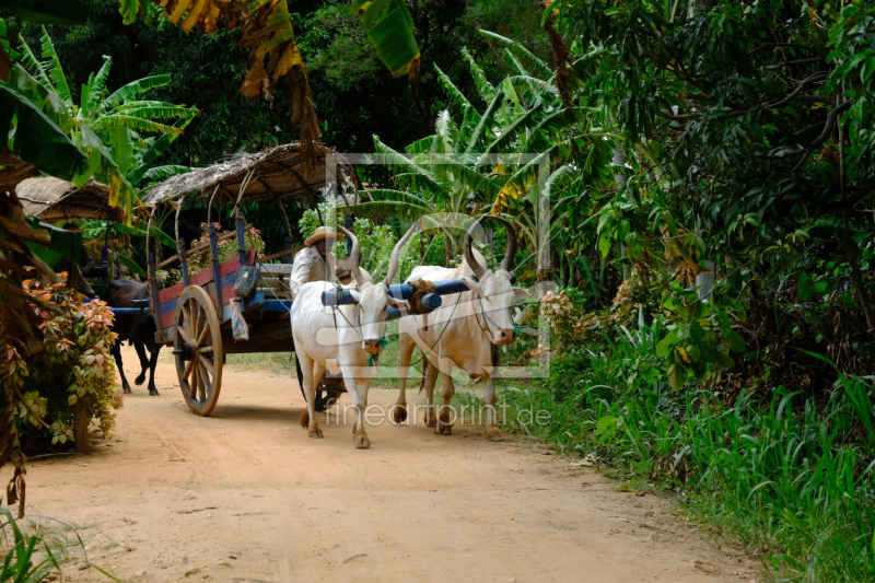 frei wählbarer Bildausschnitt für Ihr Bild auf Leinwand