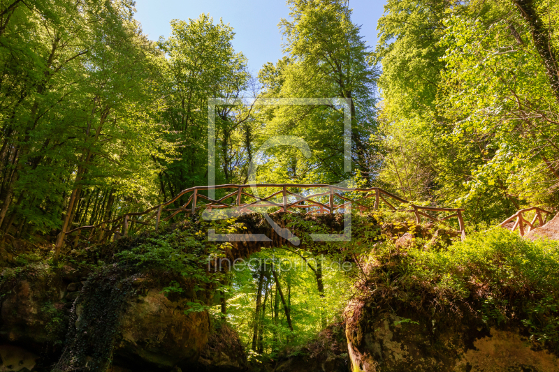 frei wählbarer Bildausschnitt für Ihr Bild auf Leinwand