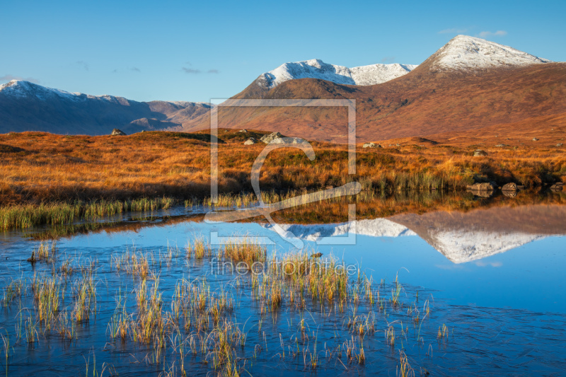 frei wählbarer Bildausschnitt für Ihr Bild auf Leinwand