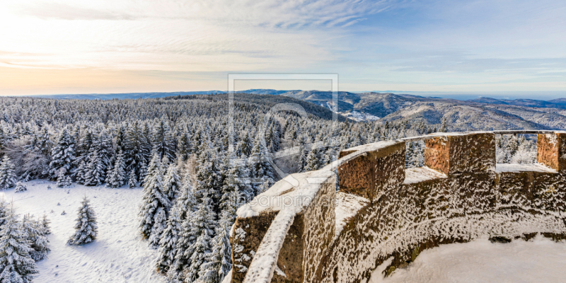 frei wählbarer Bildausschnitt für Ihr Bild auf Leinwand